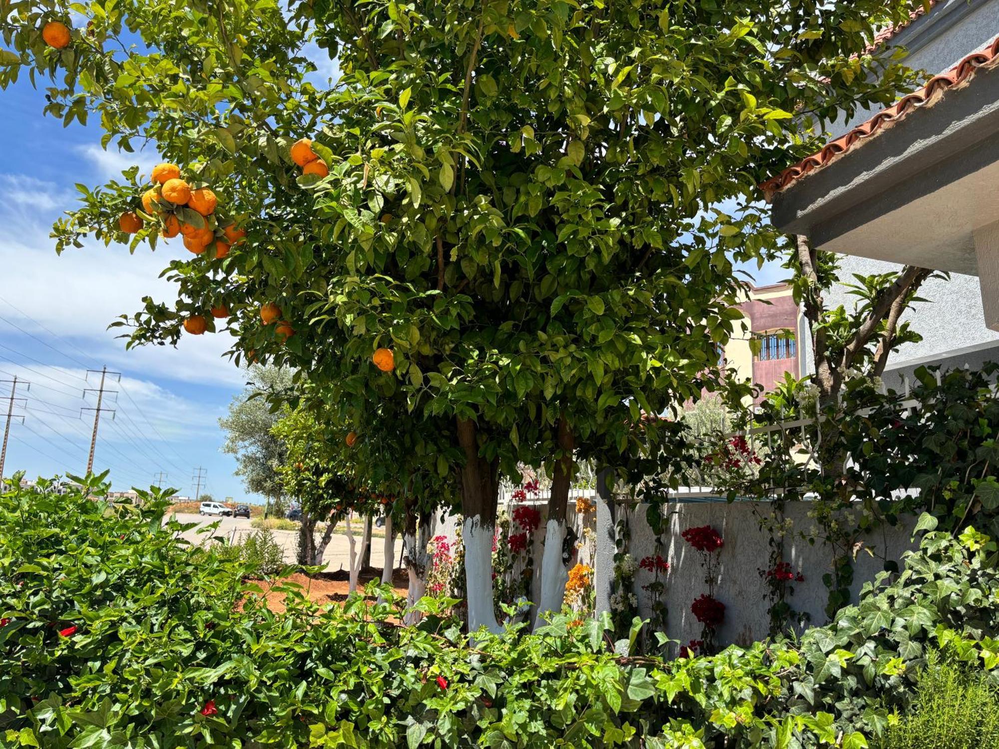 Dar El Kebira Villa Meknès Eksteriør bilde